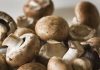 Dieta cu ciuperci te ajuta sa scapi de kilogramele in plus