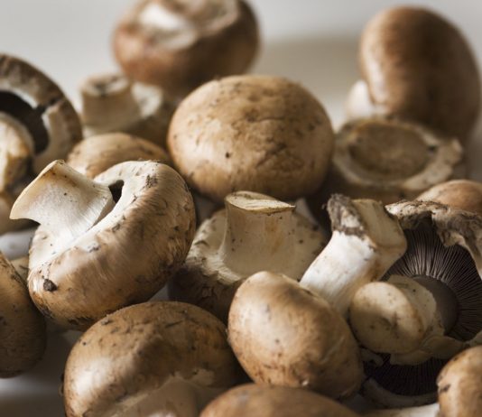 Dieta cu ciuperci te ajuta sa scapi de kilogramele in plus