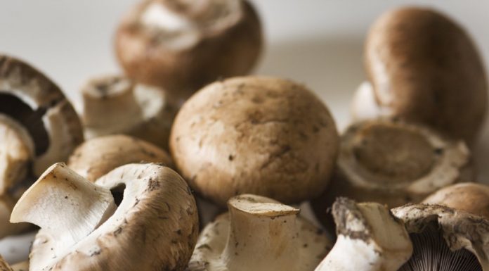 Dieta cu ciuperci te ajuta sa scapi de kilogramele in plus