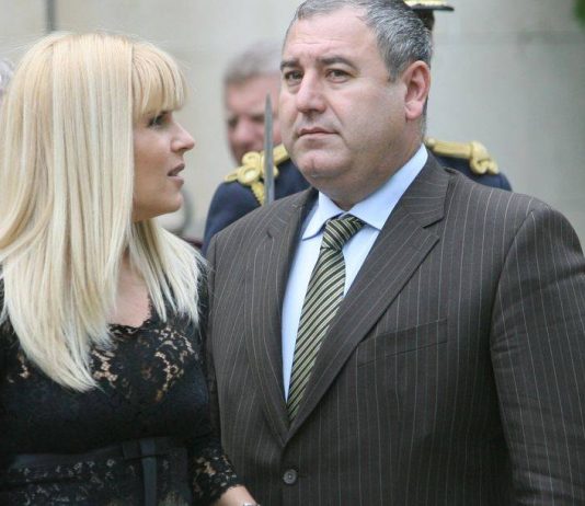 Elena Udrea a divortat