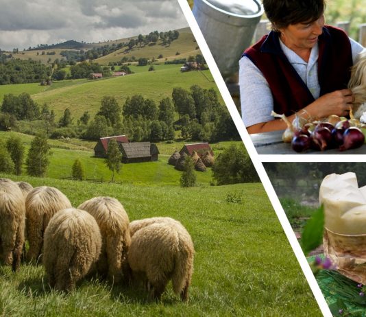 Prin Marginimea Sibiului, pentru o Transilvanie Gastronomica Marginimea-Sibiului