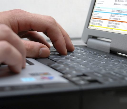 13% creștere in industria de Software și servicii IT. Prognoza ramane pozitiva si pe urmatorii ani