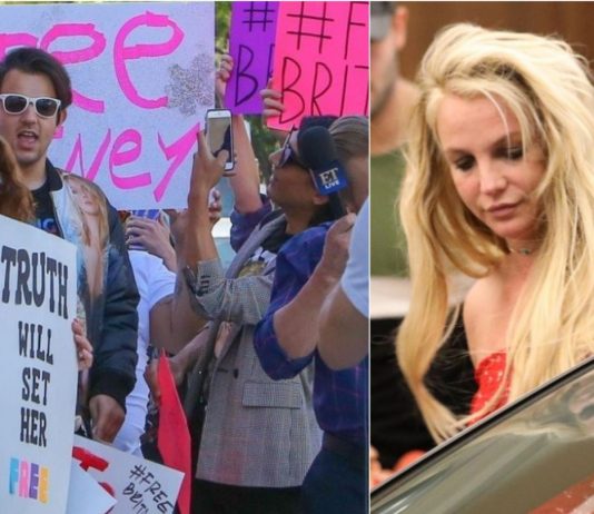 Britney Spears cere ajutor fanilor Britney Spears