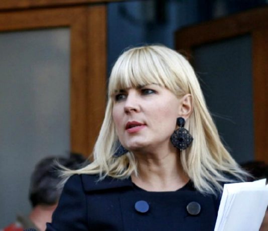 “Succesurile” in afaceri ale Elenei Udrea, de la terenul din Bucurestii Noi la blocul din Floreasca
