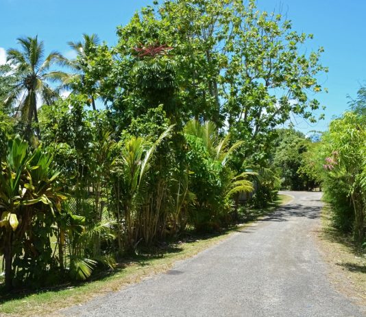 144 Mesaje Frumoase