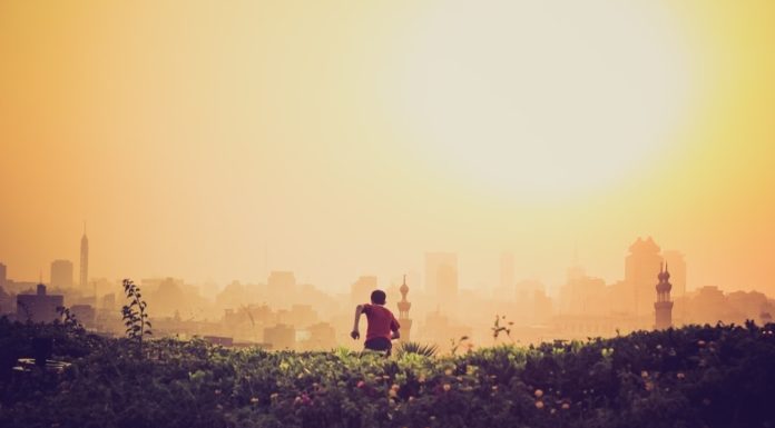 341 Citate Motivationale Care iti Vor Transforma Viata
