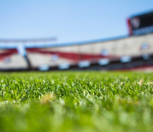 Ce trebuie să știi despre rezultate pariuri sportive?