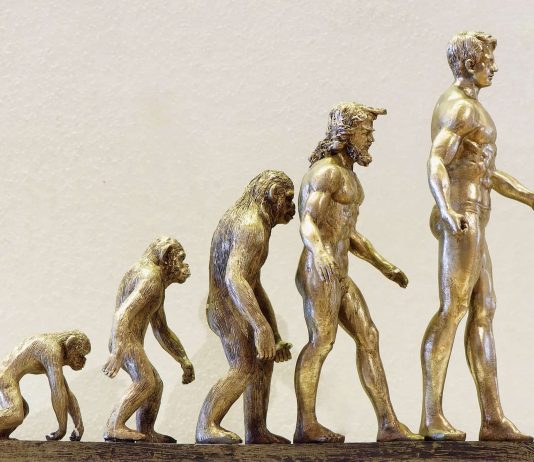 30 fapte despre evolutia vietii aici pe Pamant