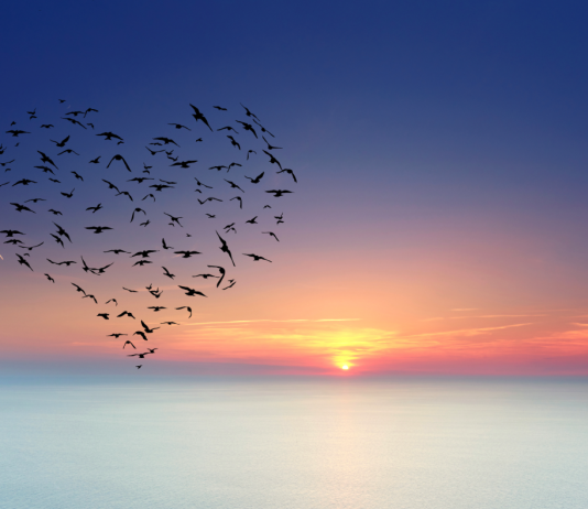 Top 10 moduri de a schimba modul in care traiesti