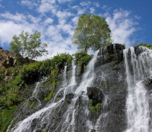 5 moduri in care natura influenteaza sanatatea mintala