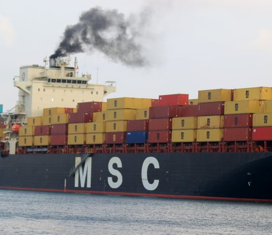 „Fara transport maritim, fara cumparaturi”: Expertii in comert avertizeaza Congresul