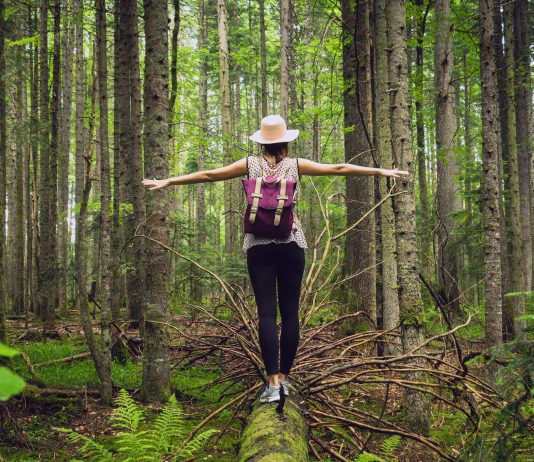 Shinrin Yoku: terapie naturala pentru relaxare